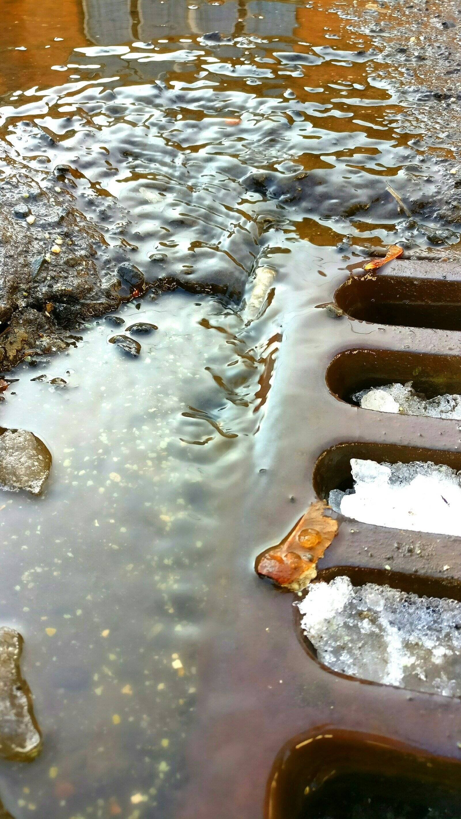 Blocked Drains service in Northern Beaches